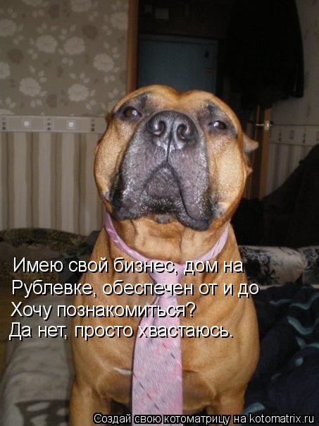 Имею свой бизнес, дом на Рублевке, обеспечен от и до Хочу познакомиться? Да нет, просто хвастаюсь... Котоматрица: Имею свой бизнес, дом на Рублевке, обеспечен от и до Хочу познакомиться? Да нет, просто хвастаюсь.
