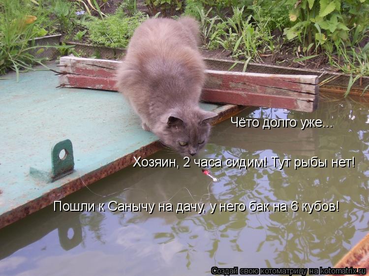 Чёто долго уже... Чёто долго уже... Хозяин, 2 часа сидим! Тут рыбы нет! Пошли к Санычу на дачу, у нег... Котоматрица: Чёто долго уже... Чёто долго уже... Хозяин, 2 часа сидим! Тут рыбы нет! Пошли к Санычу на дачу, у него бак на 6 кубов!