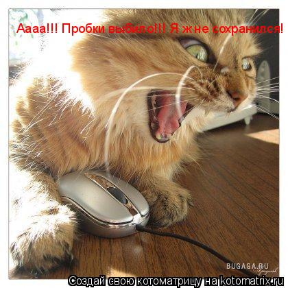 Котоматрица: Аааа!!! Пробки выбило!!! Я ж не сохранился! Аааа!!! Пробки выбило!!! Я ж не сохранился!