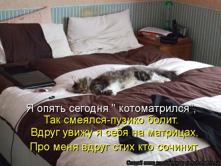 Котоматрица: Я опять сегодня " котоматрился", Так смеялся-пузико болит. Вдруг увижу я себя на матрицах, Про меня вдруг стих кто сочинит.