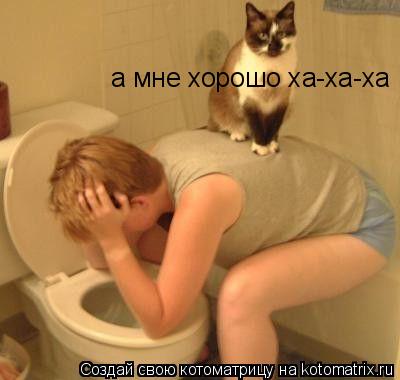 Котоматрица: а мне хорошо ха-ха-ха
