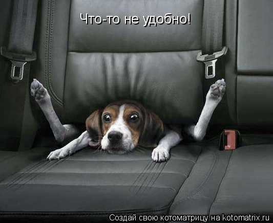 Что-то не удобно!... Котоматрица: Что-то не удобно!