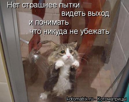 Котоматрица: Нет страшнее пытки видеть выход и понимать что никуда не убежать