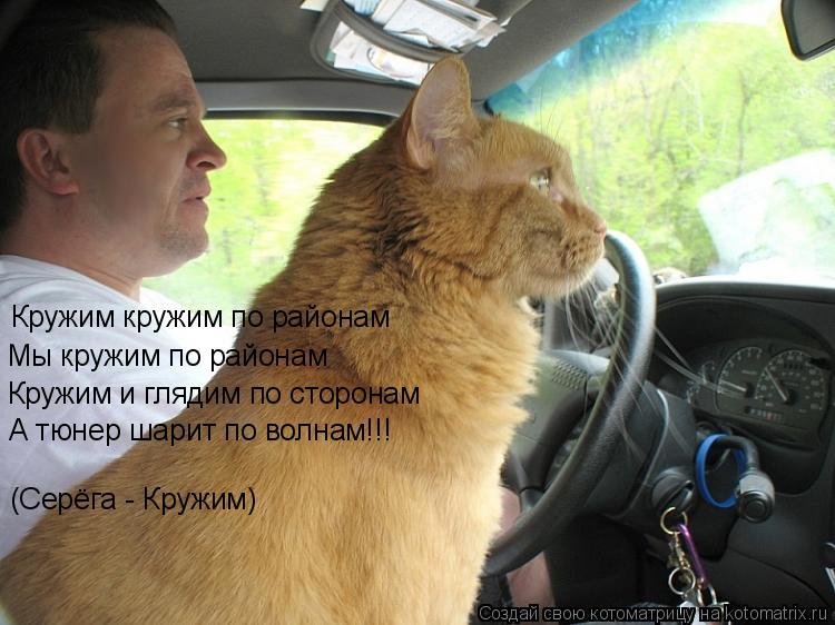 Котоматрица: Кружим кружим по районам Мы кружим по районам Кружим и глядим по сторонам А тюнер шарит по волнам!!! (Серёга - Кружим)