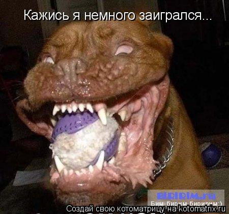 Котоматрица: Кажись я немного заигрался...