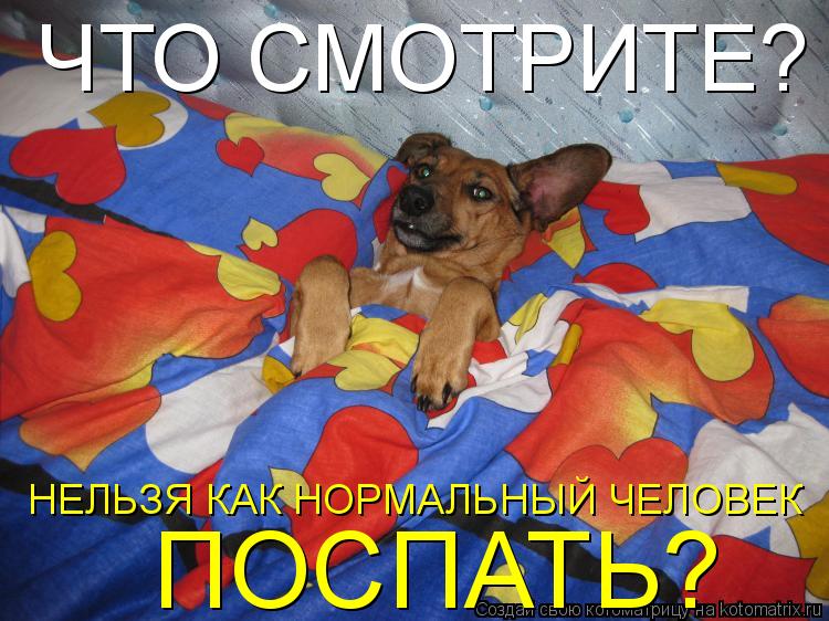 Котоматрица: ЧТО СМОТРИТЕ? НЕЛЬЗЯ КАК НОРМАЛЬНЫЙ ЧЕЛОВЕК  ПОСПАТЬ?