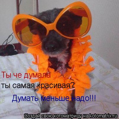 Ты че думала ты самая красивая? Думать меньше надо!!!... Котоматрица: Ты че думала ты самая красивая? Думать меньше надо!!!