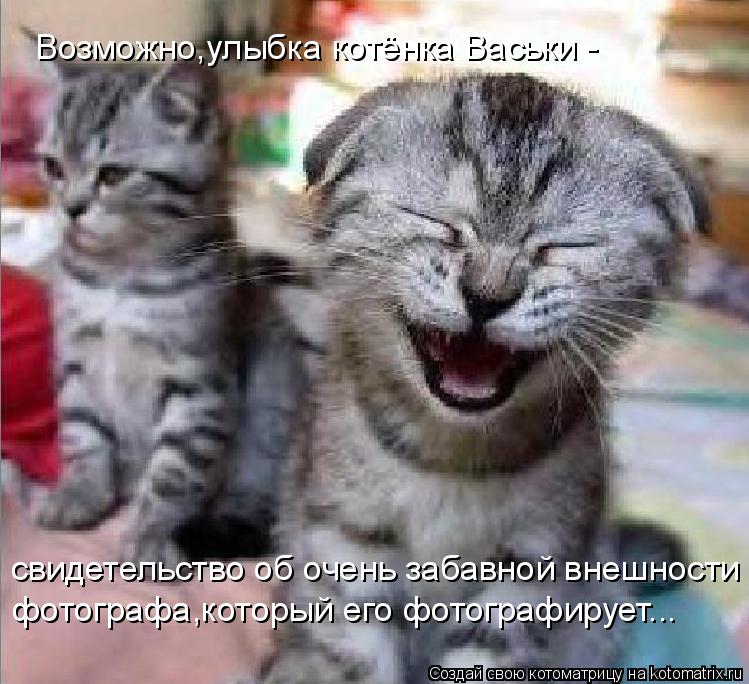 Котоматрица: Возможно,улыбка котёнка Васьки - свидетельство об очень забавной внешности фотографа,который его фотографирует...