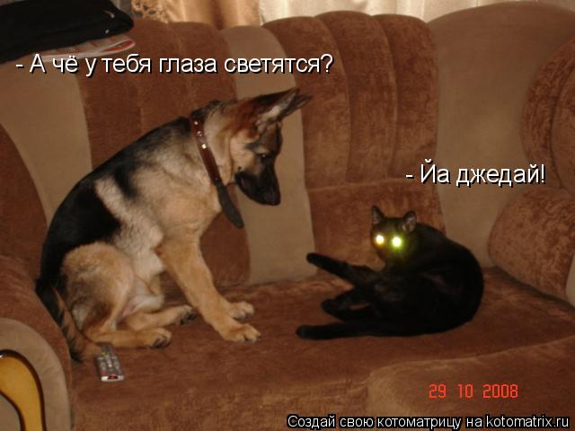Котоматрица: - Йа джедай! - А чё у тебя глаза светятся?