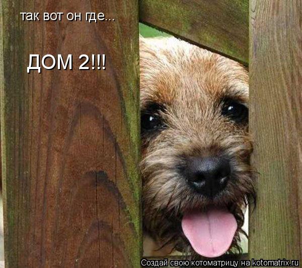 так вот он где... ДОМ 2!!!... Котоматрица: так вот он где... ДОМ 2!!!