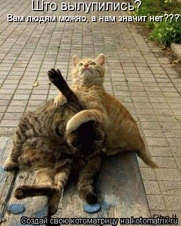 Што вылупились? Вам людям можно, а нам значит нет???... Котоматрица: Што вылупились? Вам людям можно, а нам значит нет???