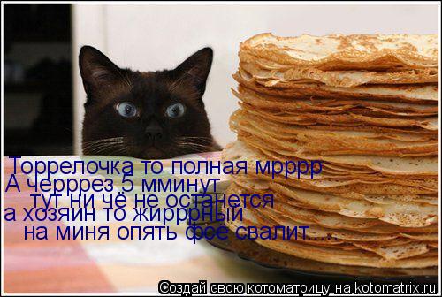 Котоматрица: Торрелочка то полная мрррр А черррез 5 мминут  тут ни чё не останется а хозяин то жирррный  на миня опять фсё свалит.....