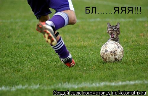 БЛ......ЯЯЯ!!!... Котоматрица: БЛ......ЯЯЯ!!!