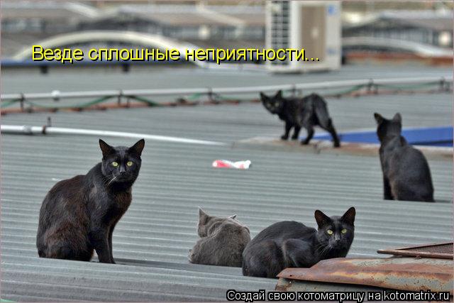 Везде сплошные неприятности...... Котоматрица: Везде сплошные неприятности...