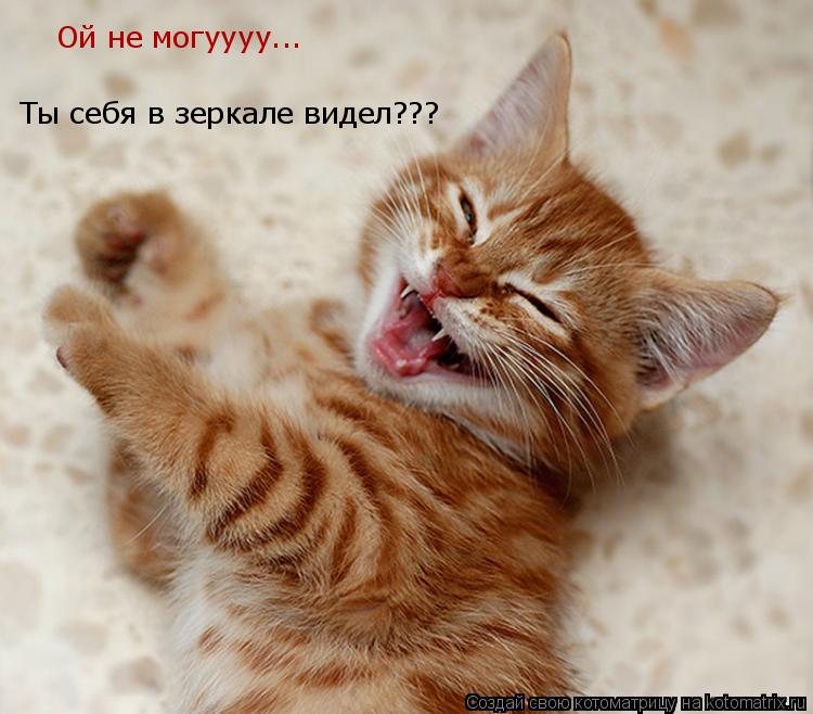 Ты себя в зеркале видел??? Ой не могуууу...... Котоматрица: Ты себя в зеркале видел??? Ой не могуууу...
