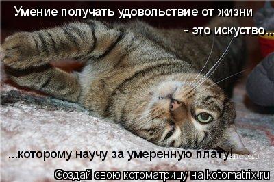Котоматрица: Умение получать удовольствие от жизни  - это искуство... ...которому научу за умеренную плату!