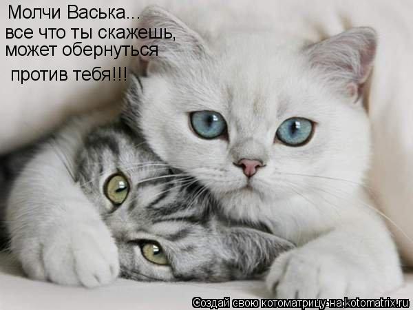 Молчи Васька... все что ты скажешь, может обернуться против тебя!!!... Котоматрица: Молчи Васька... все что ты скажешь, может обернуться против тебя!!!