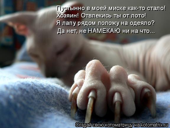 Пустынно в моей миске как-то стало! Хозяин! Отвлекись ты от лото! Я лапу рядом положу на одеяло? Да н... Котоматрица: Пустынно в моей миске как-то стало! Хозяин! Отвлекись ты от лото! Я лапу рядом положу на одеяло? Да нет, не НАМЕКАЮ ни на что...