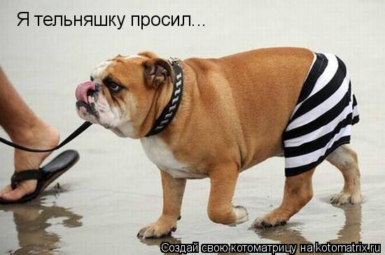 Я тельняшку просил...... Котоматрица: Я тельняшку просил...
