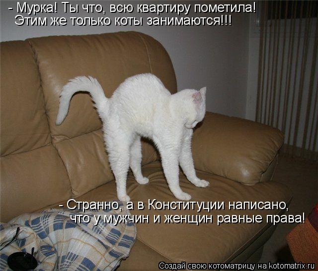 Котоматрица: - Мурка! Ты что, всю квартиру пометила! Этим же только коты занимаются!!! - Странно, а в Конституции написано, что у мужчин и женщин равные прав