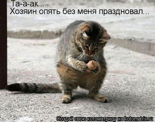 Котоматрица: Та-а-ак...  Хозяин опять без меня праздновал...