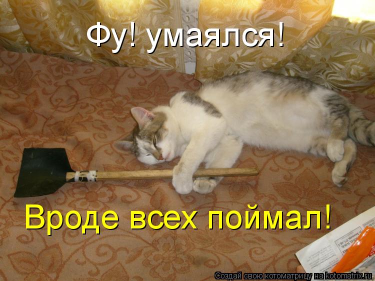 Котоматрица: Фу! умаялся! Вроде всех поймал!