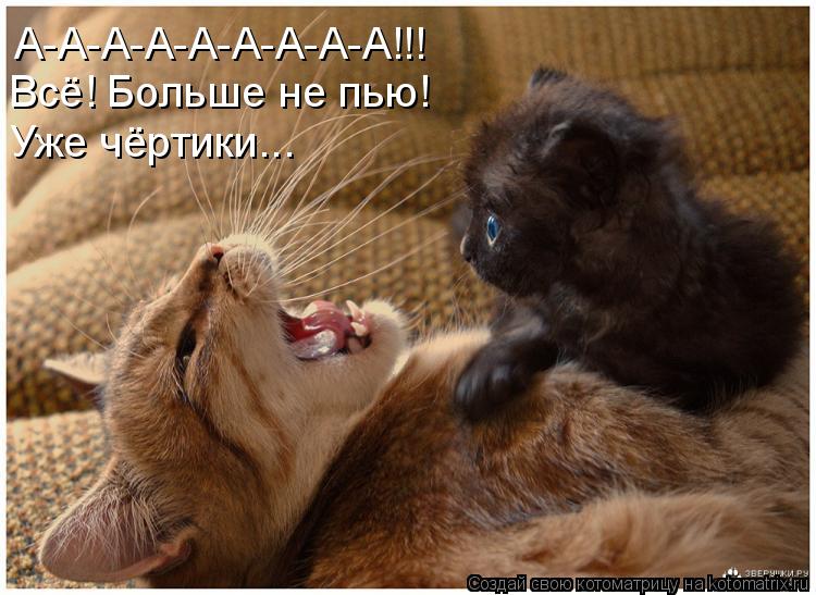Котоматрица: А-А-А-А-А-А-А-А-А!!! Всё! Больше не пью! Уже чёртики...