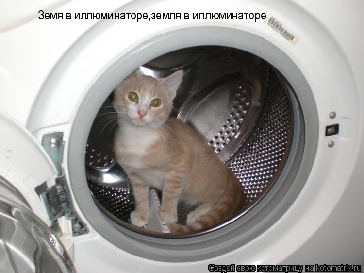 Котоматрица: Земя в иллюминаторе,земля в иллюминаторе