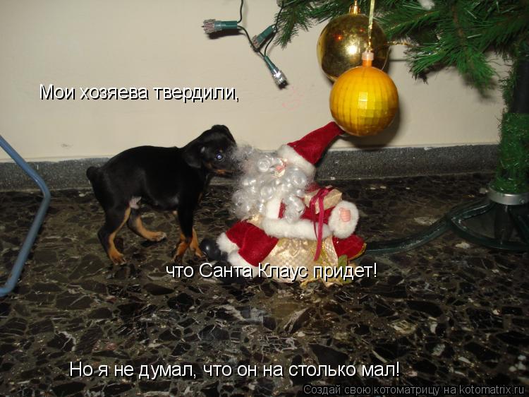 Котоматрица: Мои хозяева твердили, что Санта Клаус придет! Но я не думал, что он на столько мал!