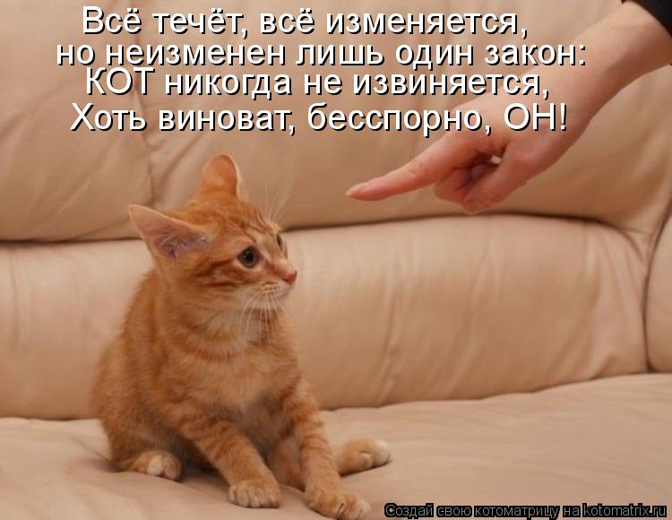 КОТ никогда не извиняется, Хоть виноват, бесспорно, ОН! Всё течёт, всё изменяется, но неизменен лишь ... Котоматрица: КОТ никогда не извиняется, Хоть виноват, бесспорно, ОН! Всё течёт, всё изменяется, но неизменен лишь один закон: