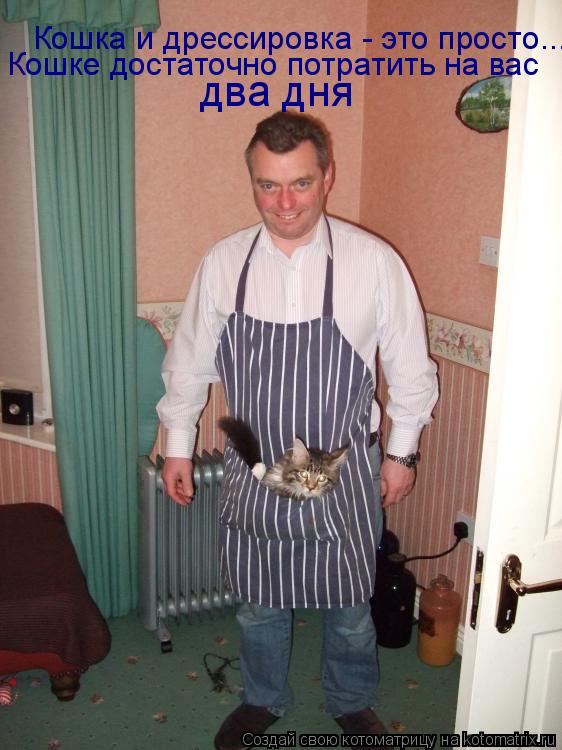 Кошка и дрессировка - это просто... Кошке достаточно потратить на вас два дня... Котоматрица: Кошка и дрессировка - это просто... Кошке достаточно потратить на вас два дня