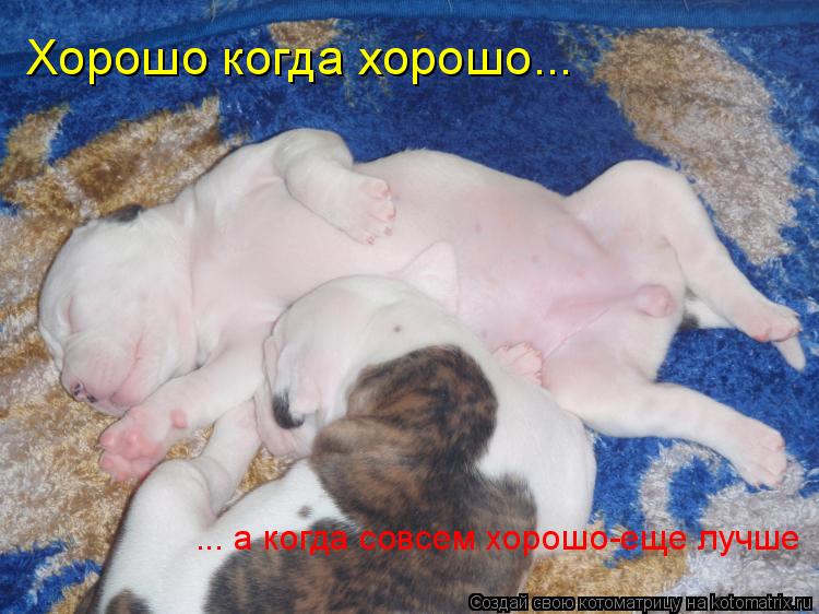 Хорошо когда хорошо... ... а когда совсем хорошо-еще лучше... Котоматрица: Хорошо когда хорошо... ... а когда совсем хорошо-еще лучше