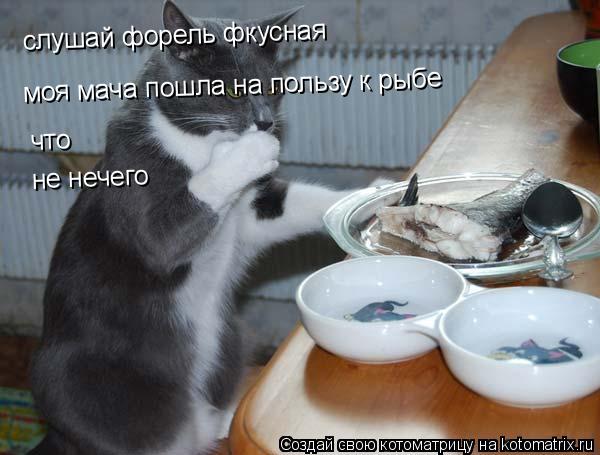 слушай форель перчит слушай форель фкусная моя мача пошла на пользу к рыбе что не нечего... Котоматрица: слушай форель перчит слушай форель фкусная моя мача пошла на пользу к рыбе что не нечего