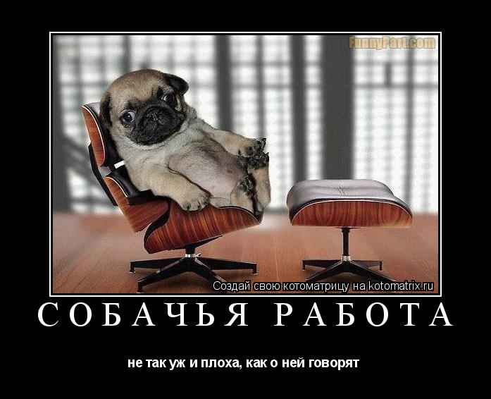 СОБАЧЬЯ РАБОТА не так уж и плоха, как о ней говорят ... Котоматрица: СОБАЧЬЯ РАБОТА не так уж и плоха, как о ней говорят