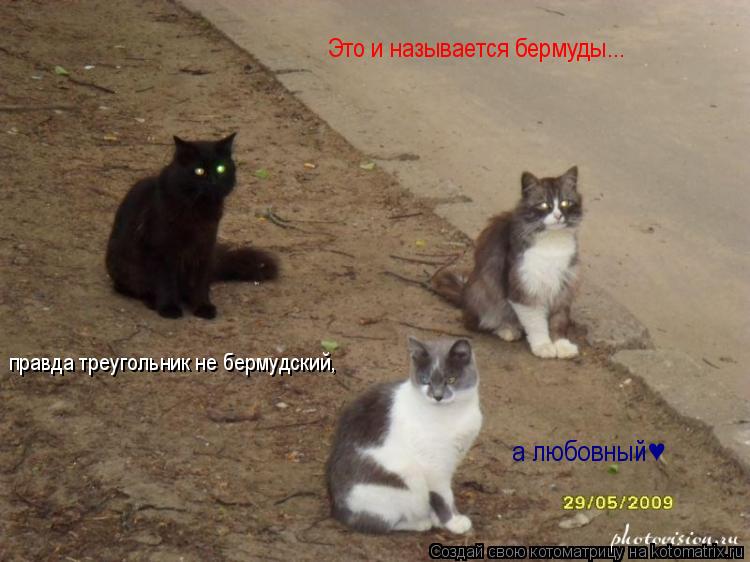 Котоматрица: Это и называется бермуды... правда треугольник не бермудский, а любовный&#9829;