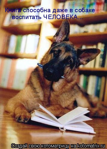 Котоматрица: Книга способна даже в собаке  воспитать ЧЕЛОВЕКА...