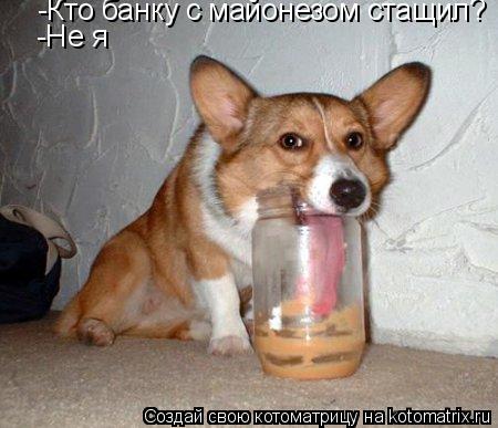Котоматрица: -Кто банку с майонезом стащил? -Не я