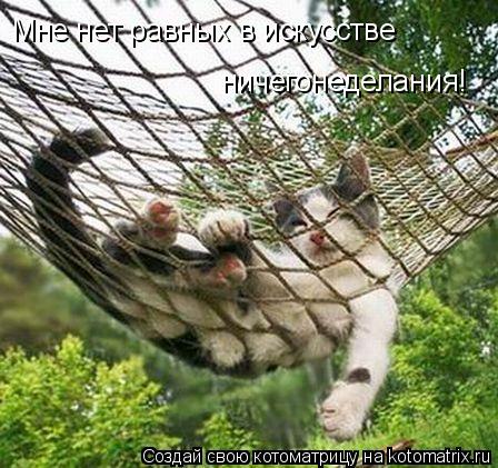 Котоматрица: Мне нет равных в искусстве ничегонеделания!