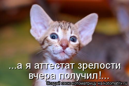 ...а я аттестат зрелости вчера получил!...... Котоматрица: ...а я аттестат зрелости вчера получил!...