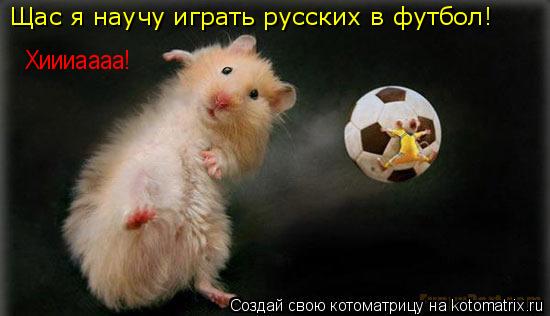 Котоматрица: Щас я научу играть русских в футбол!  Хиииаааа!