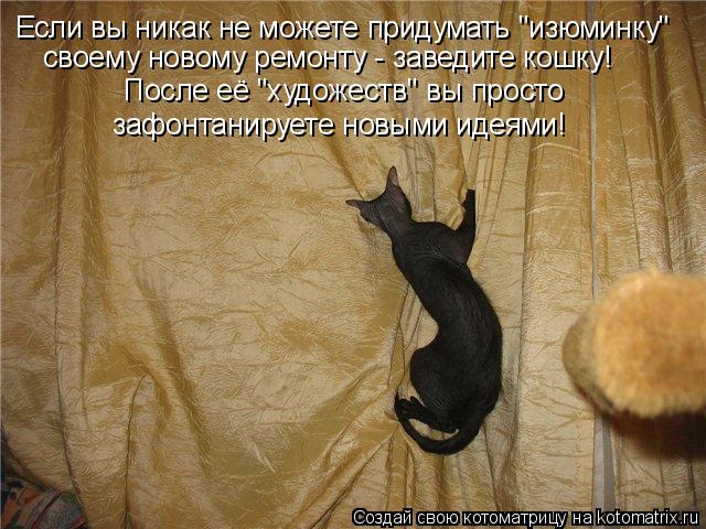 Если вы никак не можете придумать "изюминку" своему новому ремонту - заведите кошку! После её "художе... Котоматрица: Если вы никак не можете придумать "изюминку" своему новому ремонту - заведите кошку! После её "художеств" вы просто зафонтанируете новыми ид