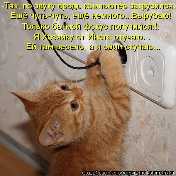 -Так, по звуку вродь компьютер загрузился... Ещё чуть-чуть, ещё немного...Вырубаю! Только бы мой фоку... Котоматрица: -Так, по звуку вродь компьютер загрузился... Ещё чуть-чуть, ещё немного...Вырубаю! Только бы мой фокус получился!!! Я Хозяйку от Инета отучаю... Е