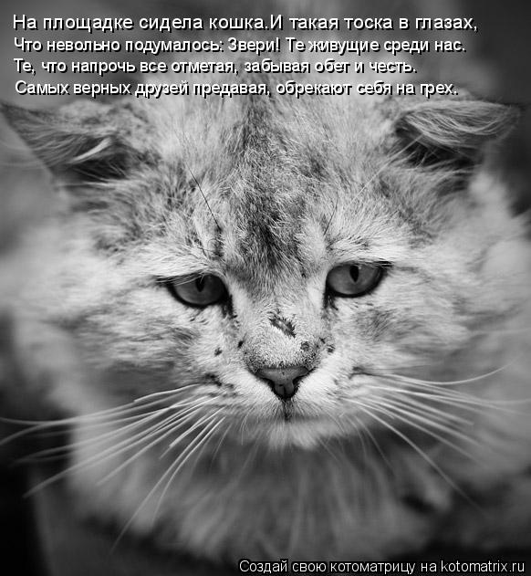 На площадке сидела кошка.И такая тоска в глазах, Что невольно подумалось: Звери! Те живущие среди нас... Котоматрица: На площадке сидела кошка.И такая тоска в глазах, Что невольно подумалось: Звери! Те живущие среди нас. Те, что напрочь все отметая, забывая об