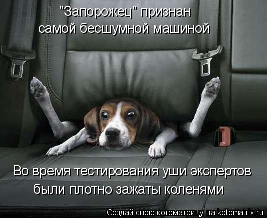 "Запорожец" признан самой бесшумной машиной Во время тестирования уши экспертов были плотно зажаты ко... Котоматрица: "Запорожец" признан самой бесшумной машиной Во время тестирования уши экспертов были плотно зажаты коленями