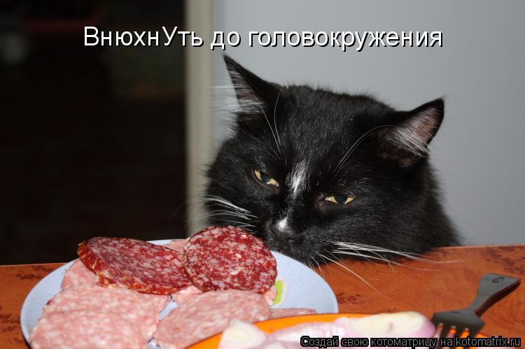 ВнюхнУть до головокружения... Котоматрица: ВнюхнУть до головокружения