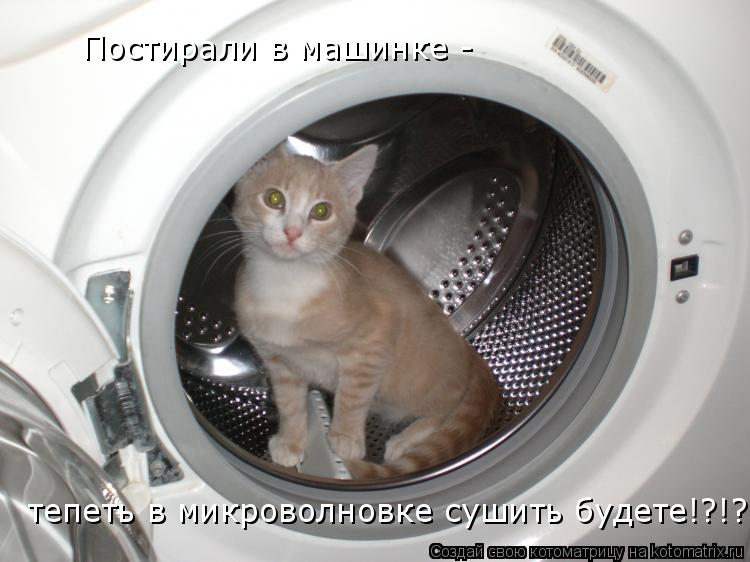 Котоматрица: Постирали в машинке -  тепеть в микроволновке сушить будете!?!?!?