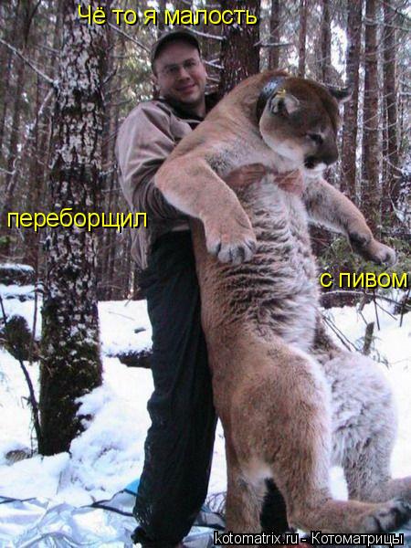 Котоматрица: Чё то я малость  переборщил с пивом с пивом