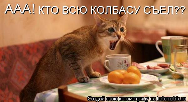 Котоматрица: ААА! КТО ВСЮ КОЛБАСУ СЪЕЛ??