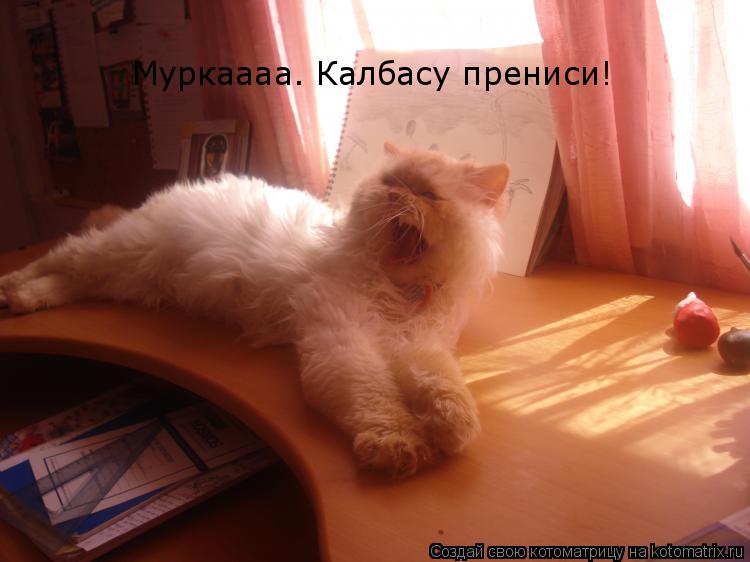 Котоматрица: Муркаааа. Калбасу прениси!
