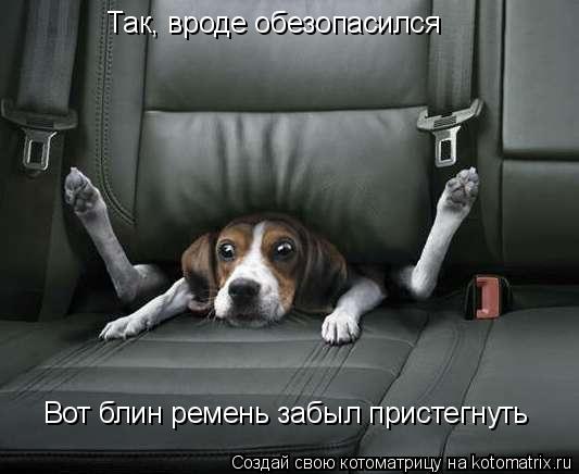 Так, вроде обезопасился Вот блин ремень забыл пристегнуть... Котоматрица: Так, вроде обезопасился Вот блин ремень забыл пристегнуть